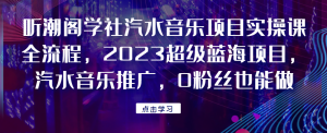 听潮阁学社汽水音乐项目实操课全流程，2023超级蓝海项目，汽水音乐推广，0粉丝也能做！网赚项目-副业赚钱-互联网创业-资源整合四水哥网创网赚