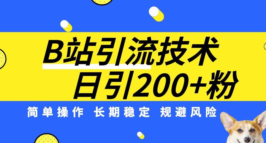 B站引流技术：每天引流200精准粉，简单操作，长期稳定，规避风险网赚项目-副业赚钱-互联网创业-资源整合四水哥网创网赚