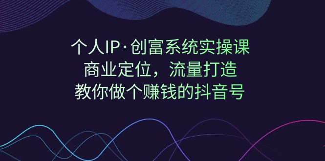 个人IP·创富系统实操课：商业定位，流量打造，教你做个赚钱的抖音号网赚项目-副业赚钱-互联网创业-资源整合四水哥网创网赚