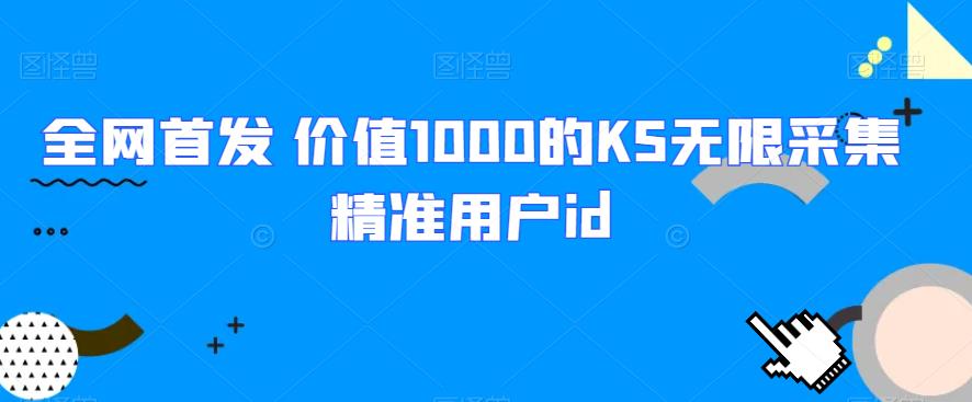 全网首发 价值1000的KS无限采集精准用户id网赚项目-副业赚钱-互联网创业-资源整合四水哥网创网赚