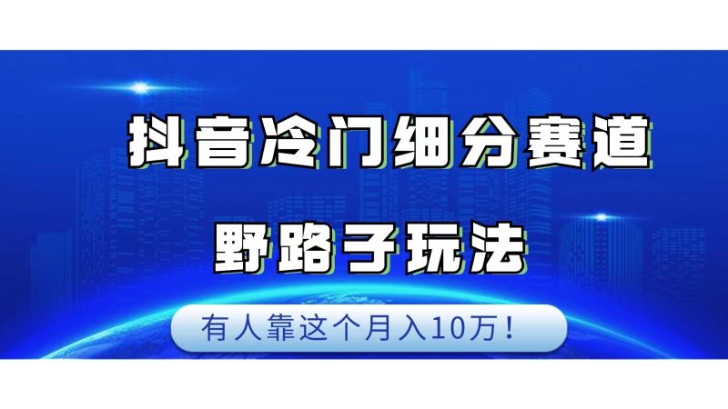 抖音冷门细分赛道野路子玩法，有人靠这个月入10万网赚项目-副业赚钱-互联网创业-资源整合四水哥网创网赚