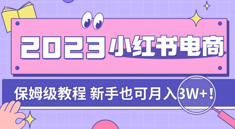 阿本小红书电商陪跑营4.0，带大家从0到1把小红书做起来网赚项目-副业赚钱-互联网创业-资源整合四水哥网创网赚